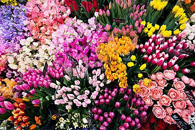 《乐高堡垒之夜》将更新多人画面分割 联名PS5手柄公开