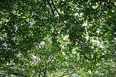 真人互动冒险影游《法医探案团之碎嘴小诗》Steam页面开放 发售日待定